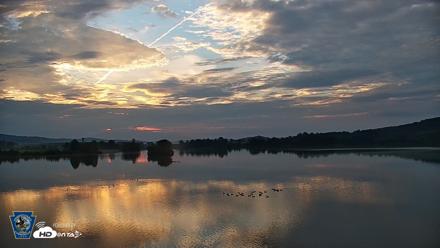 Pennsylvania Snow Geese Live Webcam - Aug 31, 2026, 6:46am EDT