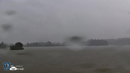 Pennsylvania Snow Geese Live Webcam - Aug 5, 2026, 5:09pm EDT