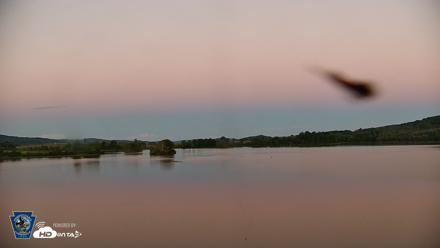 Pennsylvania Snow Geese Live Webcam - Sep 6, 2026, 7:40pm EDT