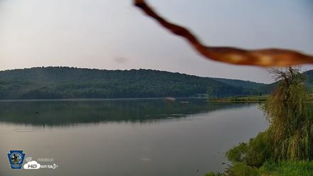Pennsylvania Snow Geese Live Webcam - Aug 14, 2026, 8:49am EDT
