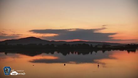 Pennsylvania Snow Geese Live Webcam - Jul 13, 2026, 5:24am EDT