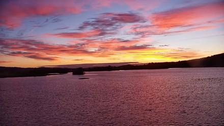 Pennsylvania Snow Geese Live Webcam - Oct 29, 2025, 7:21am EDT