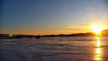 Pennsylvania Snow Geese Live Webcam - Jan 20, 2026, 7:40am EST