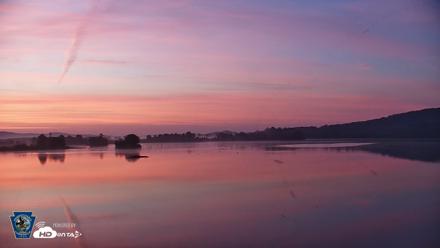 Pennsylvania Snow Geese Live Webcam - Aug 1, 2026, 5:48am EDT