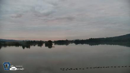 Pennsylvania Snow Geese Live Webcam - Sep 30, 2026, 7:05am EDT