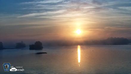 Pennsylvania Snow Geese Live Webcam - Oct 2, 2026, 7:20am EDT
