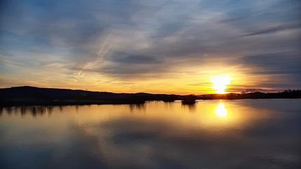 Pennsylvania Snow Geese Live Webcam - Mar 18, 2026, 7:22am EDT