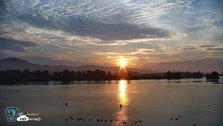 Pennsylvania Snow Geese Live Webcam - Jul 11, 2026, 6:04am EDT