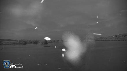 Pennsylvania Snow Geese Live Webcam - Aug 26, 2026, 8:16pm EDT