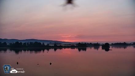Pennsylvania Snow Geese Live Webcam - Aug 10, 2026, 6:16am EDT