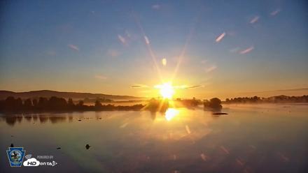Pennsylvania Snow Geese Live Webcam - Aug 25, 2026, 6:40am EDT