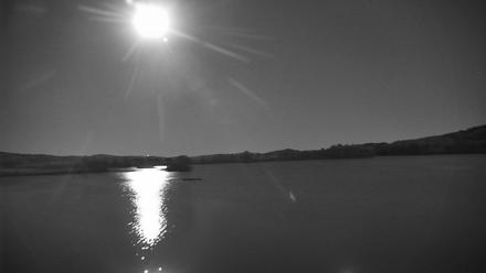 Pennsylvania Snow Geese Live Webcam - Nov 4, 2025, 5:46pm EST