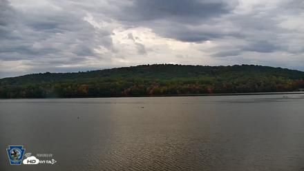 Pennsylvania Snow Geese Live Webcam - Oct 14, 2026, 11:39am EDT