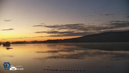 Pennsylvania Snow Geese Live Webcam - Aug 25, 2026, 6:08am EDT
