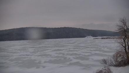 Pennsylvania Snow Geese Live Webcam - Feb 16, 2026, 6:36am EST