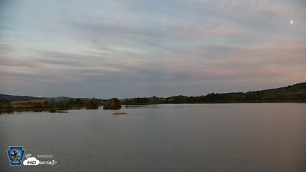 Pennsylvania Snow Geese Live Webcam - Sep 23, 2026, 7:01pm EDT