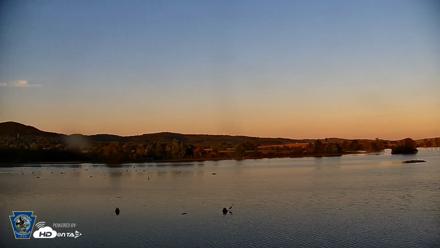 Pennsylvania Snow Geese Live Webcam - Sep 15, 2026, 6:56pm EDT