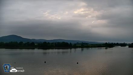 Pennsylvania Snow Geese Live Webcam - Jul 9, 2026, 6:15am EDT