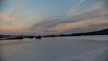 Pennsylvania Snow Geese Live Webcam - Feb 4, 2026, 5:11pm EST