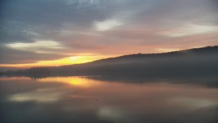 Pennsylvania Snow Geese Live Webcam - Nov 20, 2025, 6:55am EST