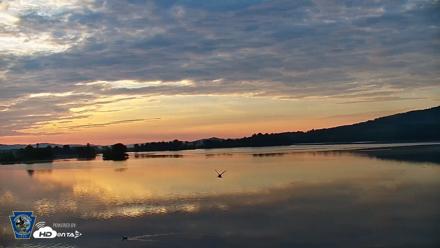 Pennsylvania Snow Geese Live Webcam - Jun 6, 2026, 5:55am EDT