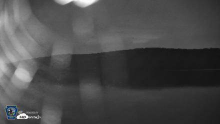 Pennsylvania Snow Geese Live Webcam - Sep 3, 2026, 10:43pm EDT