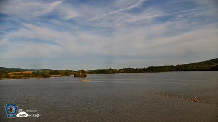 Pennsylvania Snow Geese Live Webcam - Sep 24, 2026, 5:10pm EDT