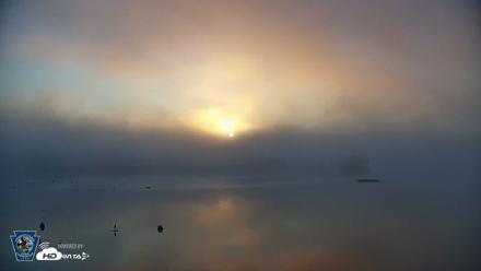 Pennsylvania Snow Geese Live Webcam - Aug 7, 2026, 6:29am EDT