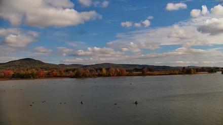 Pennsylvania Snow Geese Live Webcam - Oct 24, 2025, 11:05am EDT