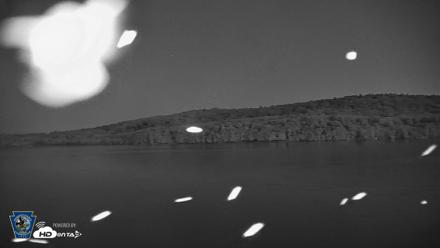 Pennsylvania Snow Geese Live Webcam - Aug 29, 2026, 8:14pm EDT
