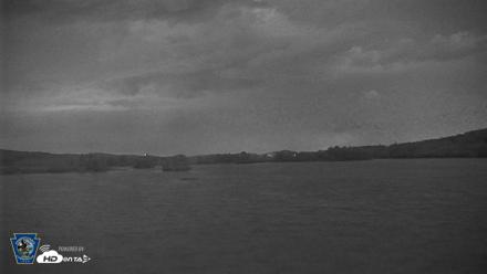 Pennsylvania Snow Geese Live Webcam - Sep 1, 2026, 8:20pm EDT