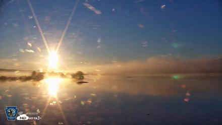 Pennsylvania Snow Geese Live Webcam - Aug 26, 2026, 6:51am EDT