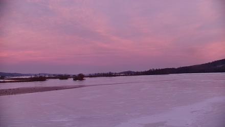 Pennsylvania Snow Geese Live Webcam - Feb 10, 2026, 5:38pm EST