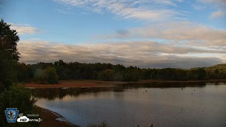 Pennsylvania Snow Geese Live Webcam - Sep 28, 2026, 5:53pm EDT