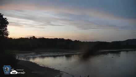 Pennsylvania Snow Geese Live Webcam - Aug 26, 2026, 8:10pm EDT