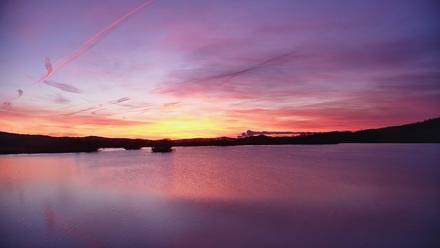 Pennsylvania Snow Geese Live Webcam - Mar 18, 2026, 6:58am EDT
