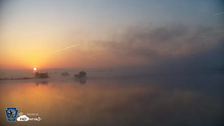 Pennsylvania Snow Geese Live Webcam - Apr 23, 2026, 6:25am EDT