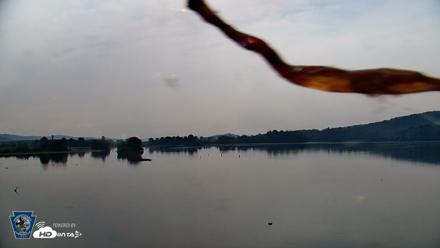 Pennsylvania Snow Geese Live Webcam - Aug 14, 2026, 8:49am EDT