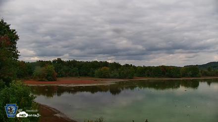 Pennsylvania Snow Geese Live Webcam - Sep 30, 2026, 2:44pm EDT