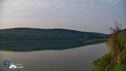 Pennsylvania Snow Geese Live Webcam - Aug 12, 2026, 7:31am EDT