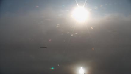 Pennsylvania Snow Geese Live Webcam - Sep 28, 2025, 8:12am EDT