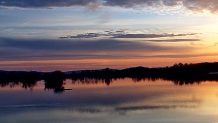 Pennsylvania Snow Geese Live Webcam - Nov 15, 2025, 7:03am EST