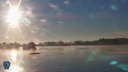 Pennsylvania Snow Geese Live Webcam - Aug 25, 2026, 7:10am EDT