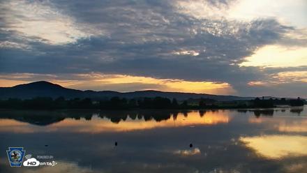 Pennsylvania Snow Geese Live Webcam - Jul 13, 2026, 6:24am EDT