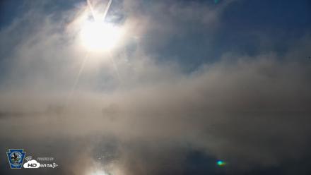 Pennsylvania Snow Geese Live Webcam - Apr 27, 2026, 7:33am EDT