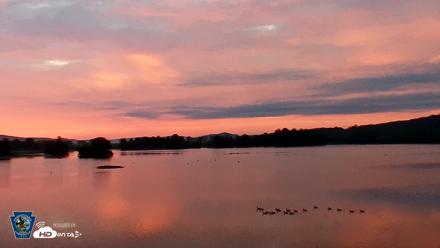 Pennsylvania Snow Geese Live Webcam - Aug 5, 2026, 6:07am EDT