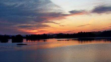 Pennsylvania Snow Geese Live Webcam - Sep 29, 2025, 6:53am EDT