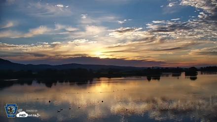 Pennsylvania Snow Geese Live Webcam - Jun 14, 2026, 5:56am EDT