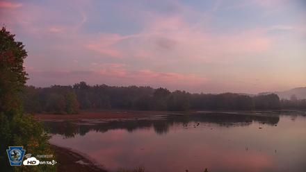 Pennsylvania Snow Geese Live Webcam - Oct 2, 2026, 6:51am EDT
