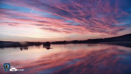 Pennsylvania Snow Geese Live Webcam - Sep 12, 2026, 6:31am EDT